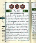 Rub‘ Yasin Tajweed Quran (Quarter of the Quran) | From Surah Yasin to An-Nas | French Translation & Transliteration | Color-Coded Tajweed | 17×24 cm