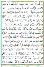 French Tajweed Quran with Translation | Large Clear Font | Page-by-Page Format | Flexi Cover | 12×17 cm Premium Chamois Paper